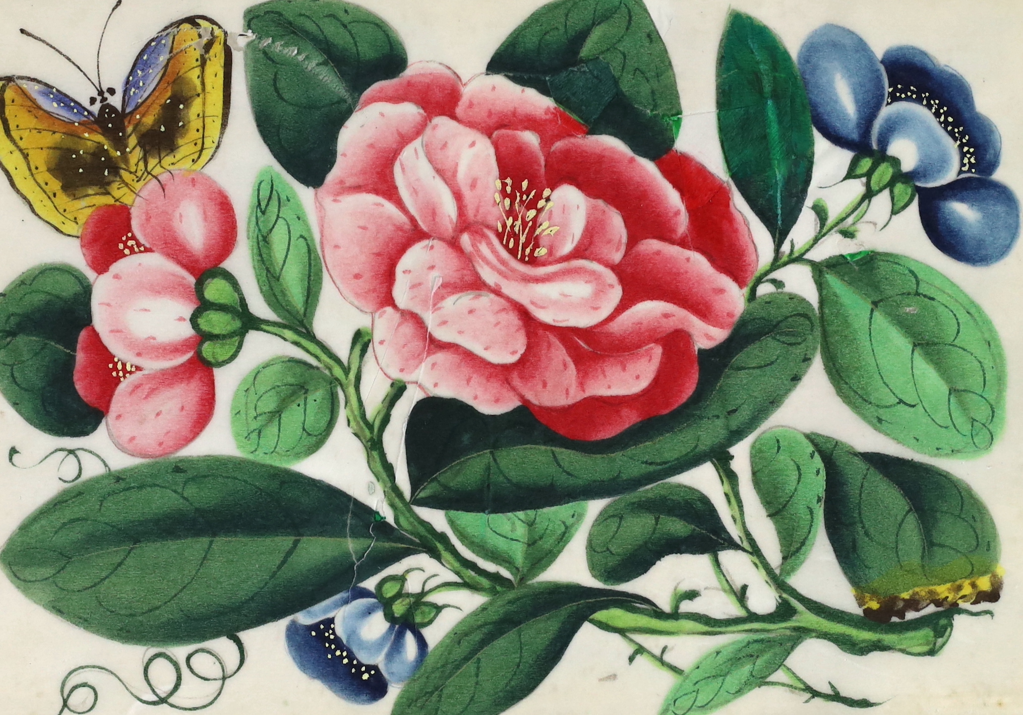 A Chinese album of twelve pith paintings of flowers and insects, 19th century